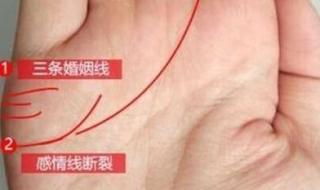 手相图解大全女右手 手相图解大全女右手